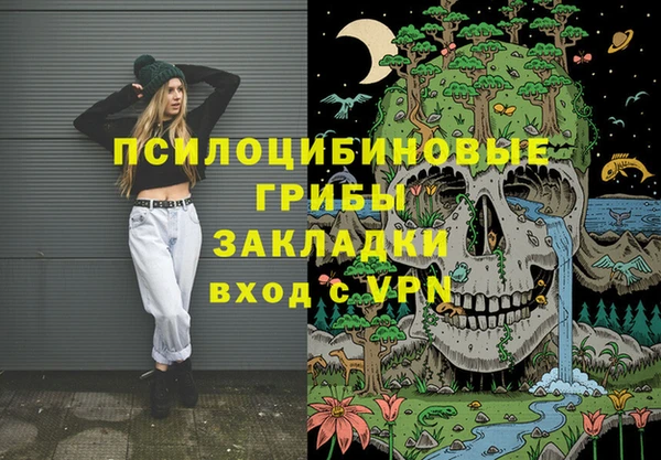 гидра Армянск