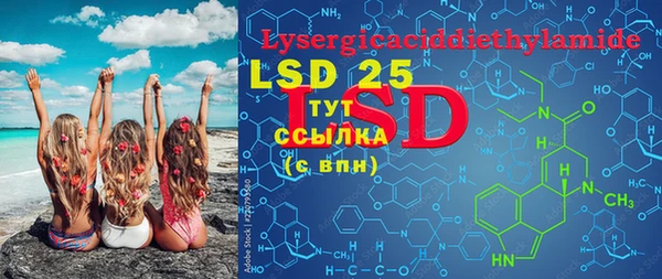 PSILOCYBIN Арсеньев