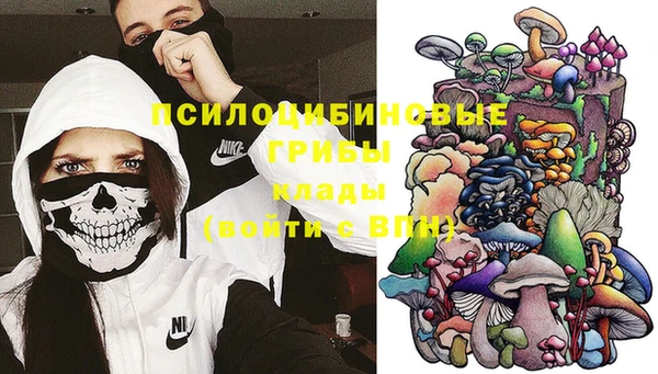 PSILOCYBIN Арсеньев