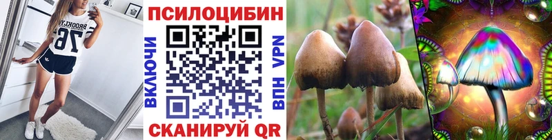 Псилоцибиновые грибы MAGIC MUSHROOMS  Октябрьск 